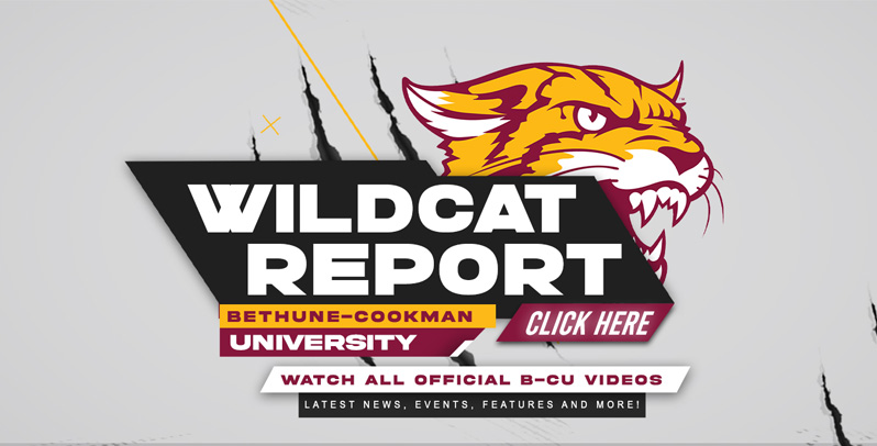 Wildcat reports