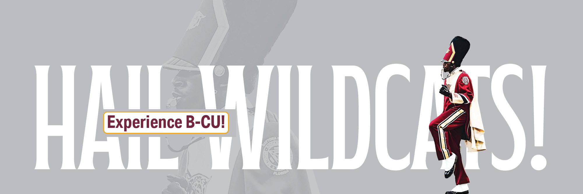 Experience B-CU